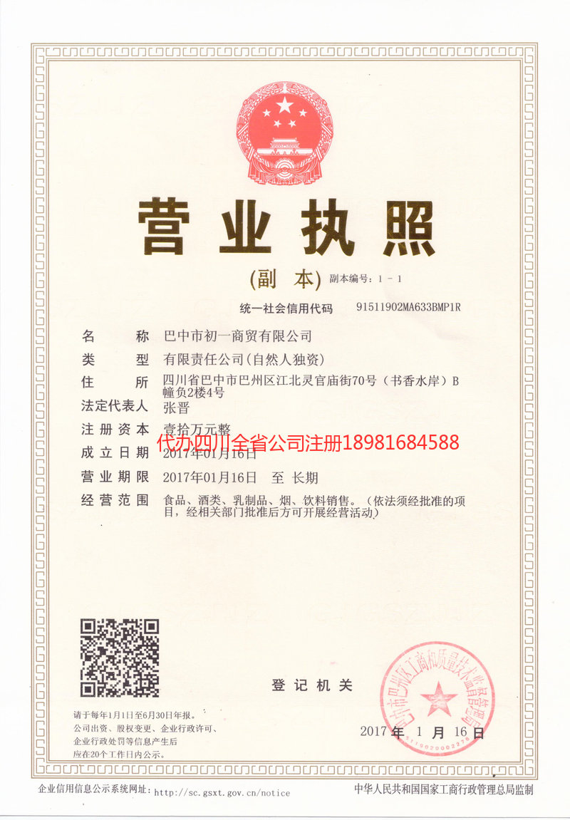 伊宁市伊宁市初一商贸有限公司